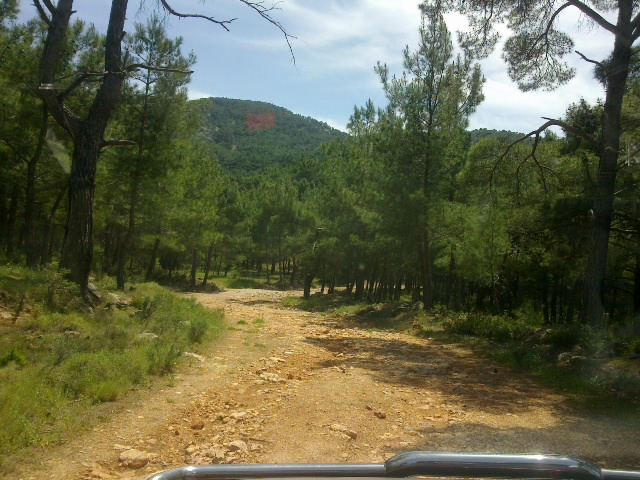 22052011084.jpg