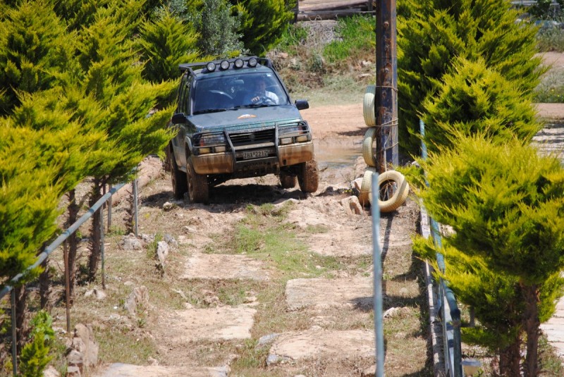 DSC_7954.jpg