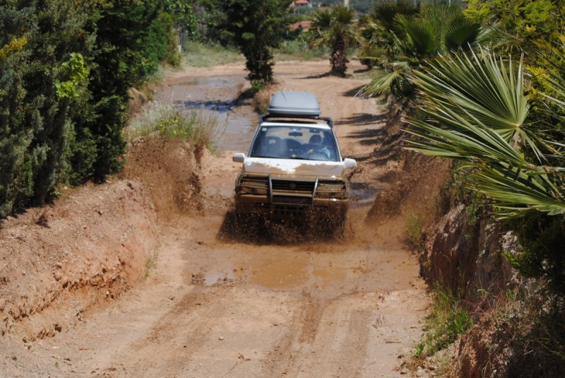 DSC_8002.jpg