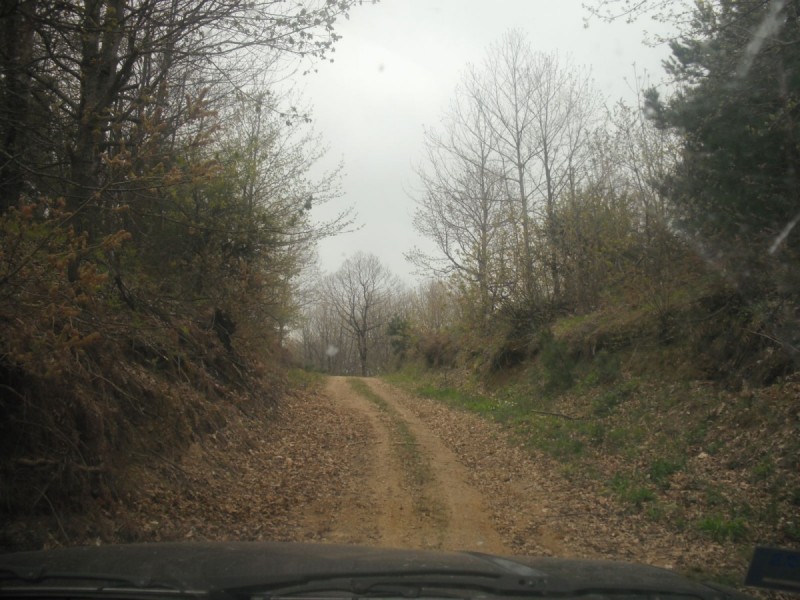 DSCF1153.jpg