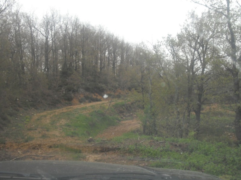 DSCF1151.jpg