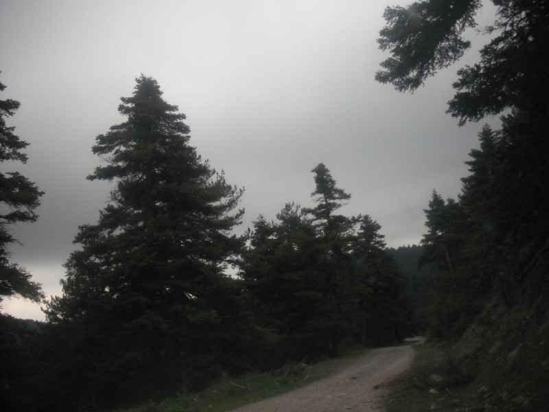 DSCF1168.jpg