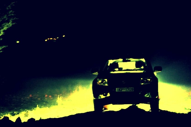 14 (800 x 531).jpg