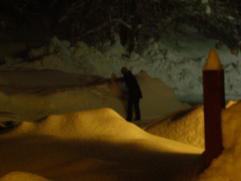 P369.jpg