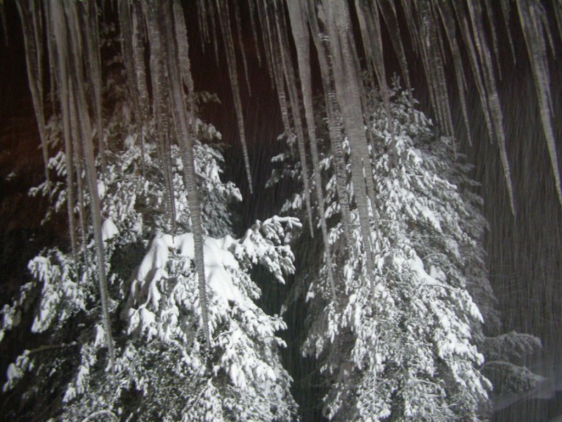 P376.jpg