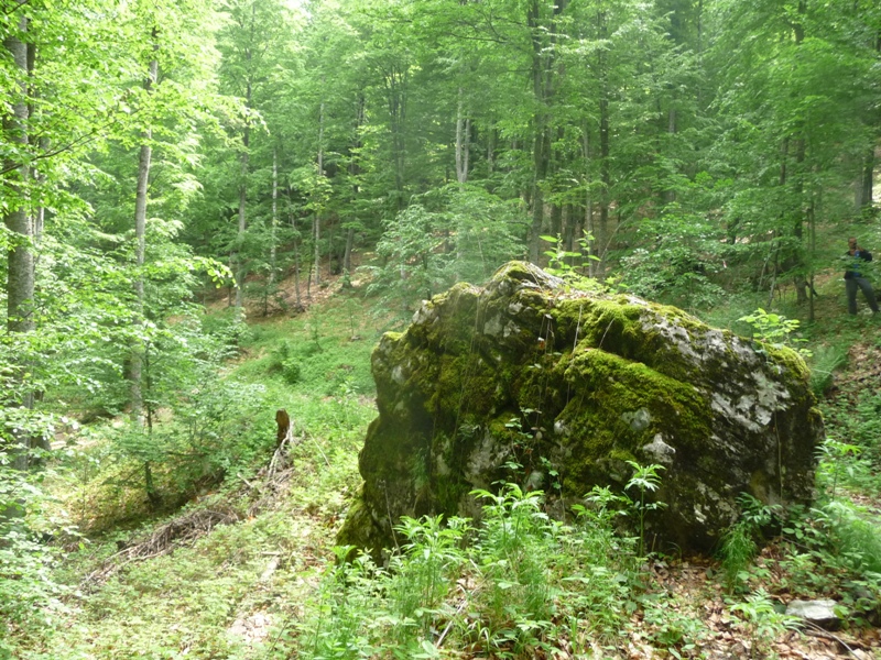 P1180044.JPG