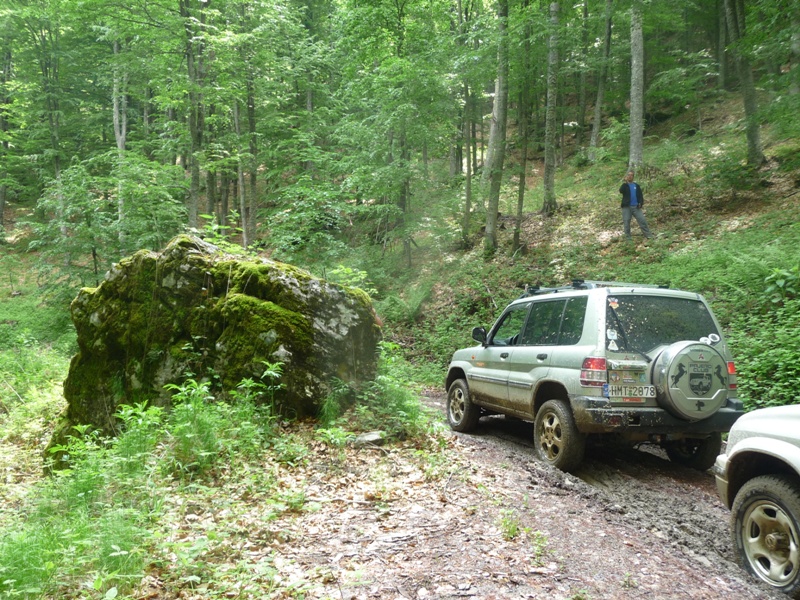 P1180046.JPG