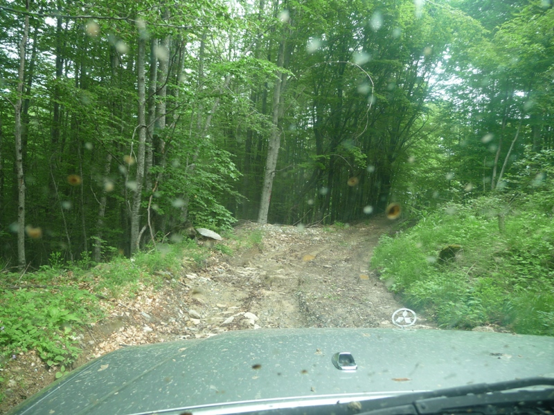 P1180047.JPG