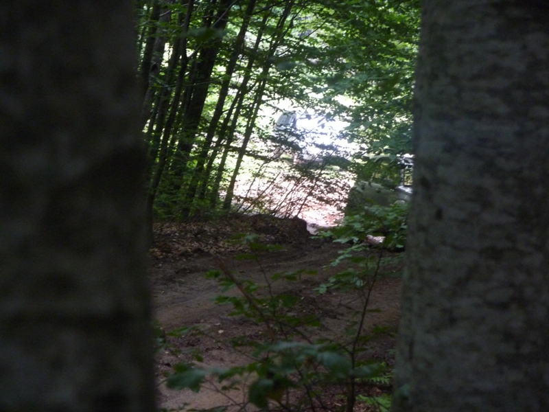 P1180054.JPG