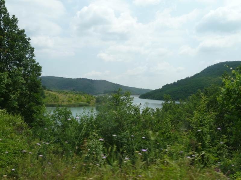 P1180066.JPG