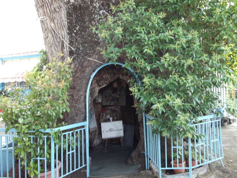 DSCF0419.jpg