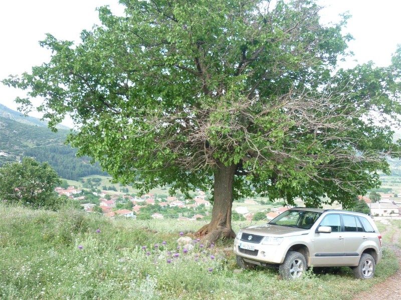 Κατασκηνωση Ισώματα 2011 007 (Custom).jpg