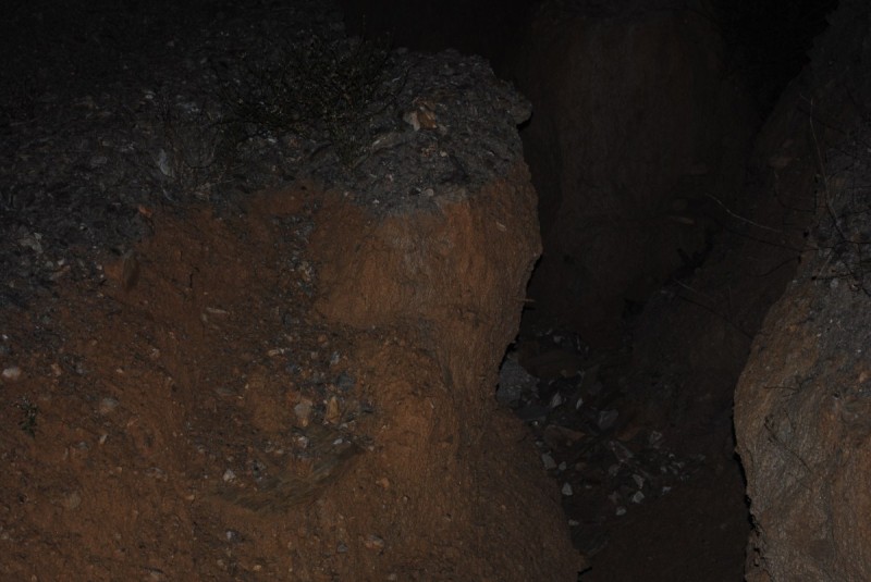DSC_8255.jpg