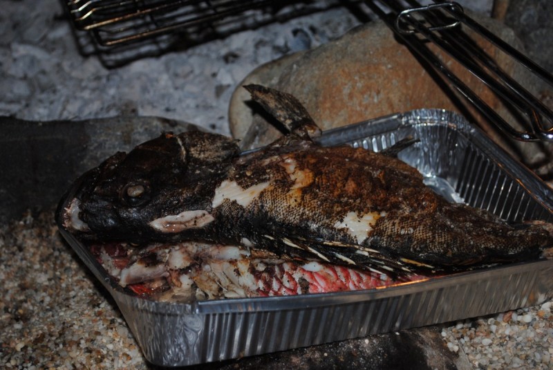 DSC_8738.jpg