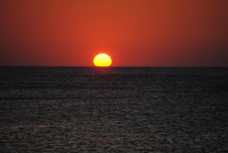 DSC_8760.jpg
