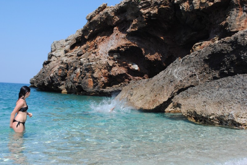 DSC_8872.jpg