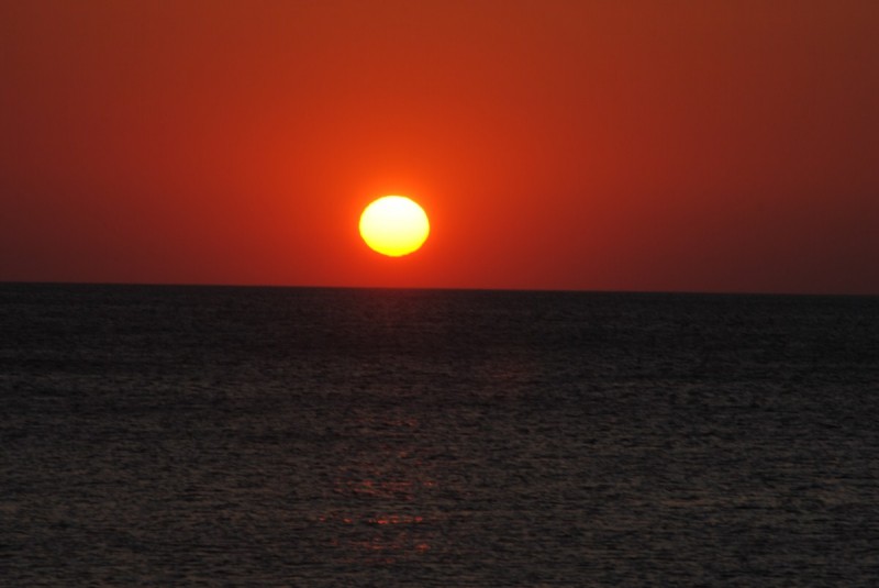 DSC_8768.jpg