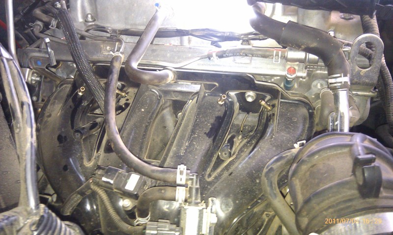 IMAG0374 (800 x 479).jpg