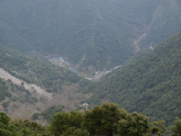 P1015841.jpg