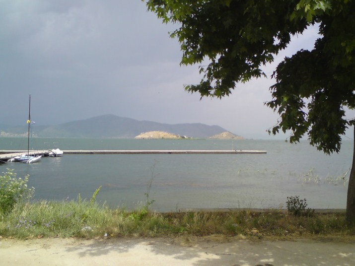DSC00560.jpg