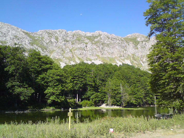 DSC00576.jpg