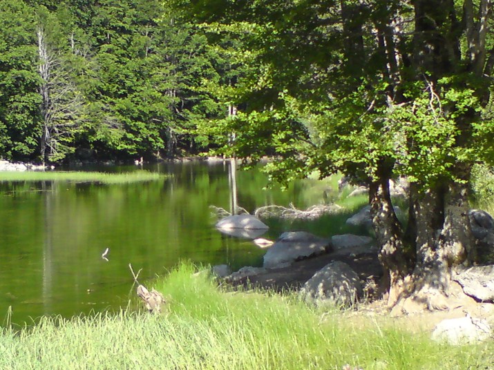 DSC00585.jpg