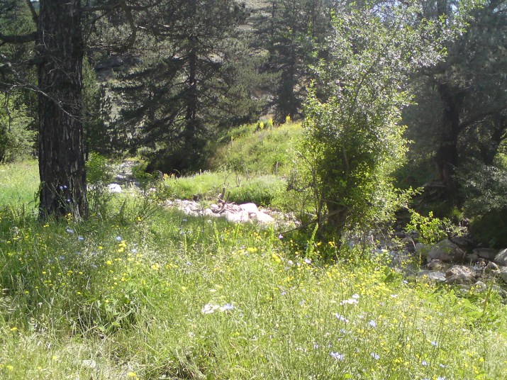 DSC00600.jpg