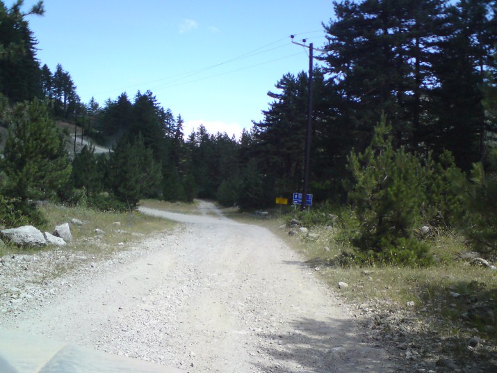 DSC00603.jpg
