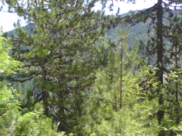 DSC00604.jpg