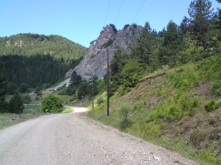 DSC00607.jpg