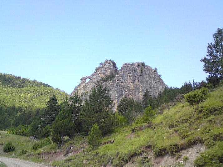 DSC00608.jpg