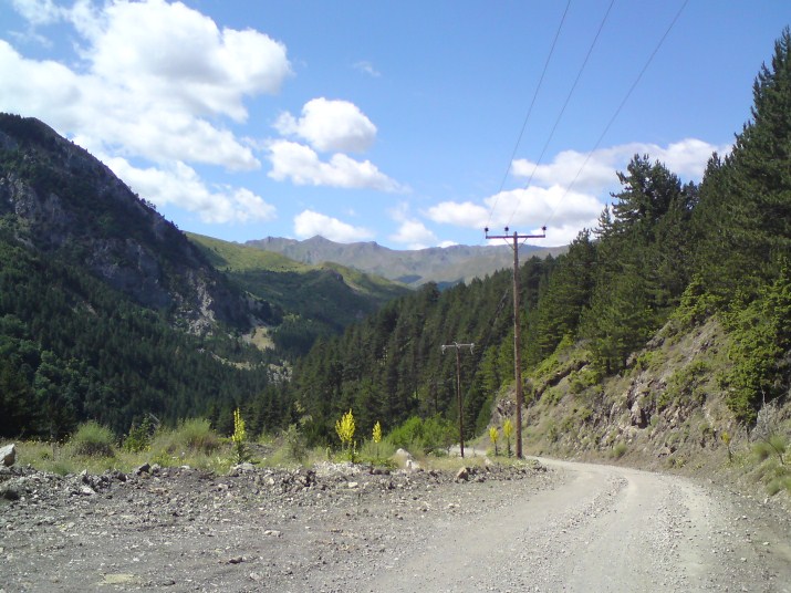 DSC00609.jpg