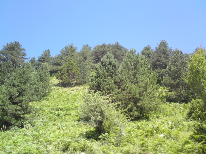 DSC00610.jpg