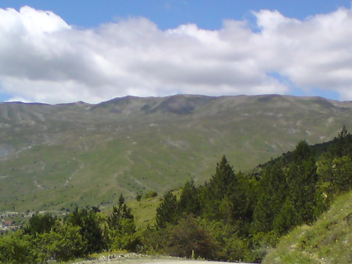 DSC00612.jpg