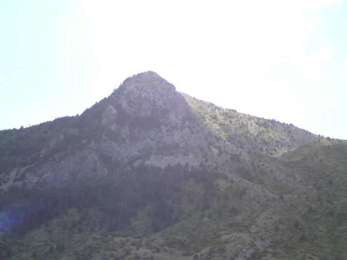 DSC00615.jpg