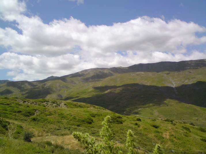 DSC00617.jpg