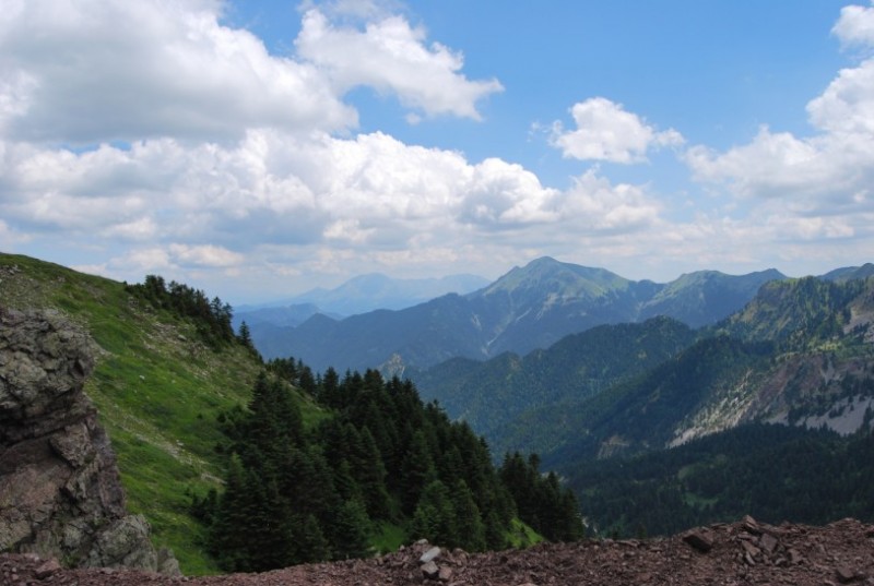 DSC_0044.jpg