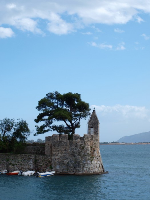 P1015888.jpg