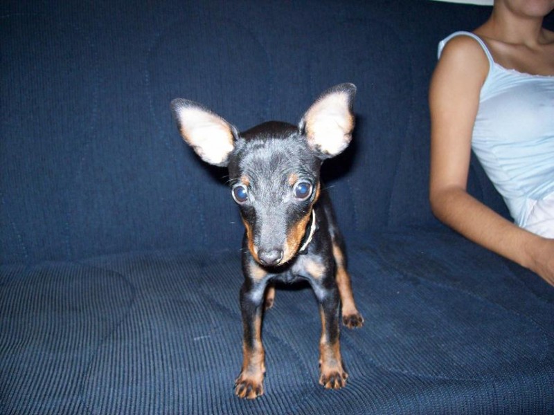 100_092444.JPG