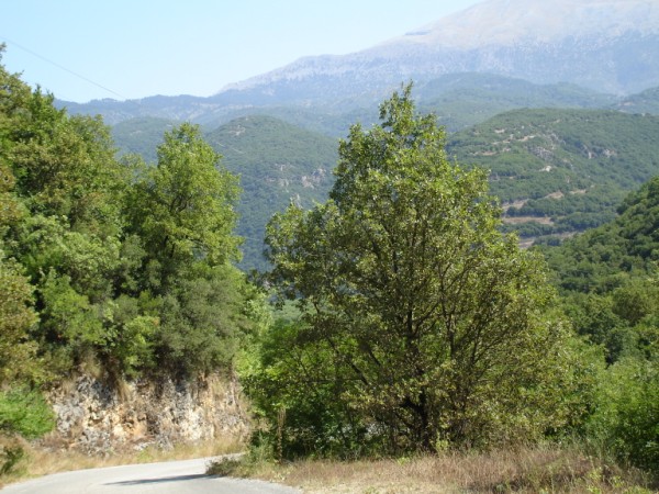 DSC01502.jpg
