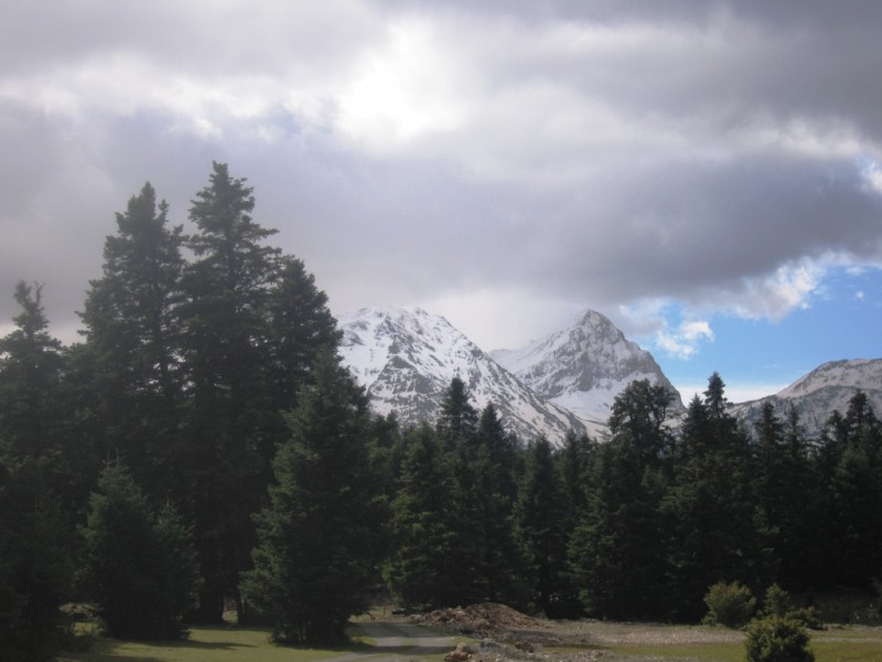 IMG_8135.jpg