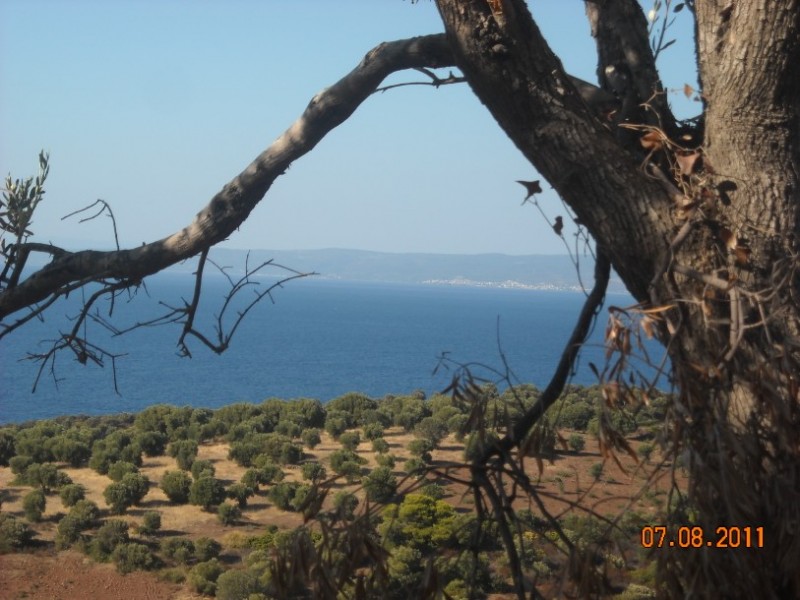 DSCN3157.jpg