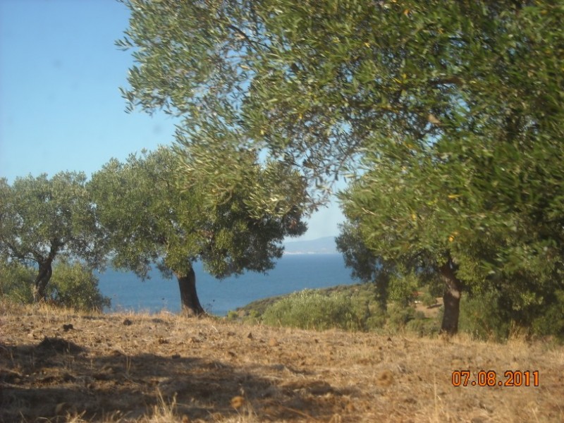 DSCN3153.jpg