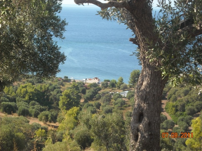 DSCN3155.jpg