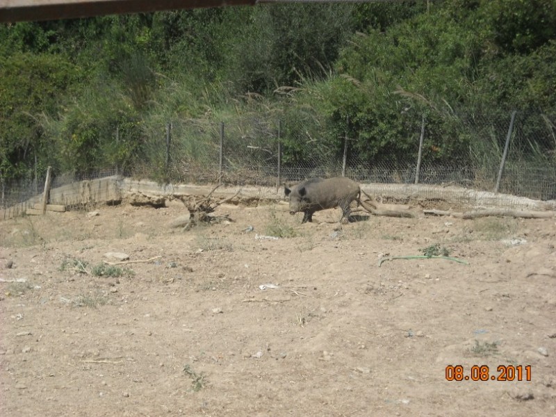 DSCN3180.jpg