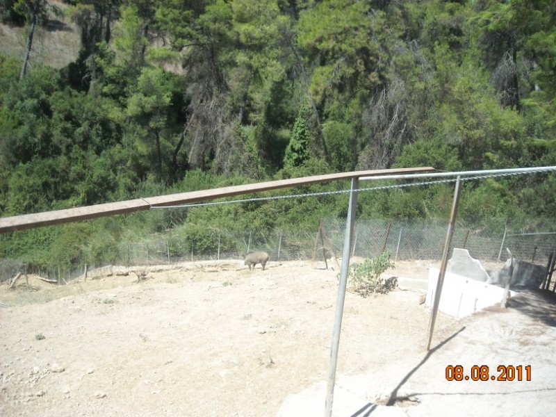 DSCN3179.jpg