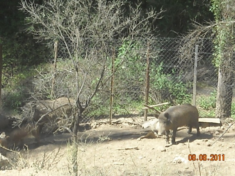 DSCN3181.jpg