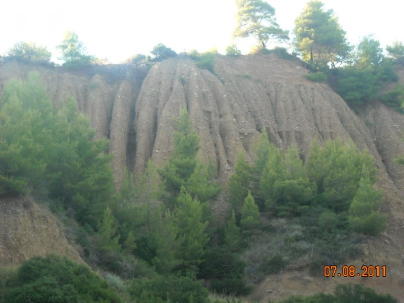 DSCN3166.jpg
