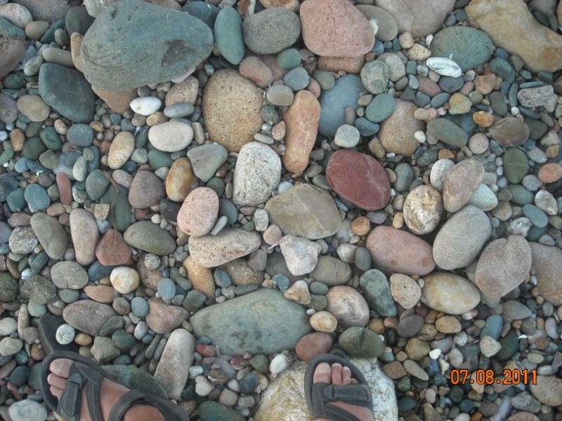 DSCN3172.jpg