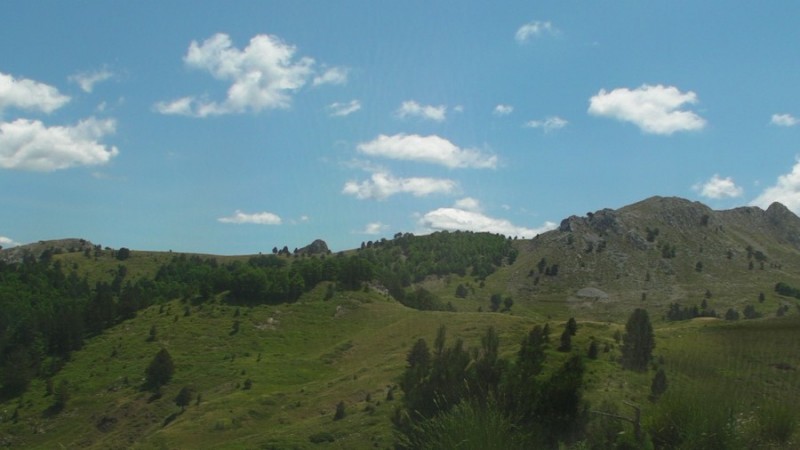 SANY0159.jpg